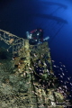   Wreck Valfiorita sunk during Second World War following dismissal British submarine. photo recognizable twin antiaircraft machine gun. 65m depth. submarine anti-aircraft anti aircraft gun depth  
